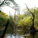 20061008_kamikouchitrip_009